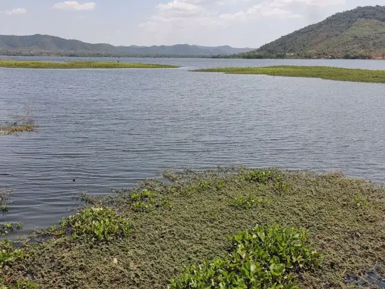 Brateak Krola Lake