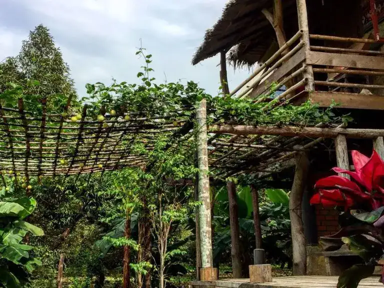Durian Farm Village