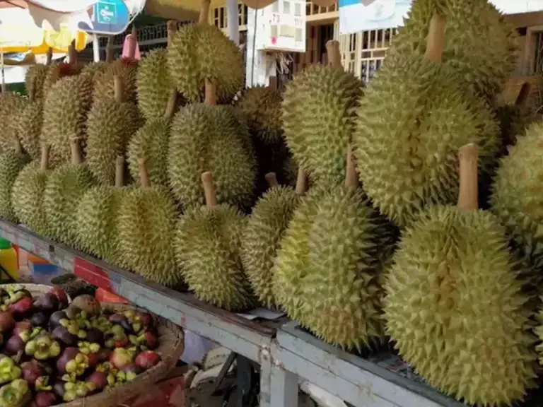 Durian fruit