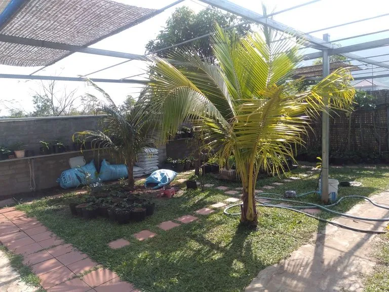 Tuin