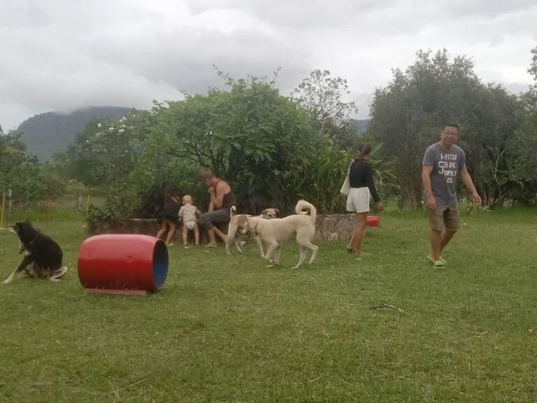 PawSome Dog Center
