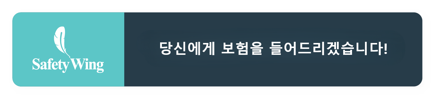 SafetyWing Nomad 보험 배너