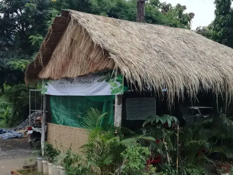 Sophia's Kitchen